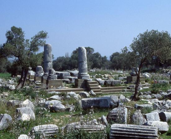 The ruined columns and platform of the Temple of Dionysos at Teos seen from the west
