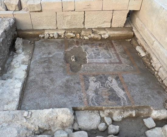 Mosaics uncovered during excavations in Teos, one featuring Dionysian imagery.