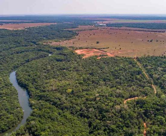 Aerial view of Amazon tributary river, San Jose do Rio Claro, Mato Grosso, where ancient manufacturing of terra preta has been found. Source: Uwe Bergwitz/Adobe Stock