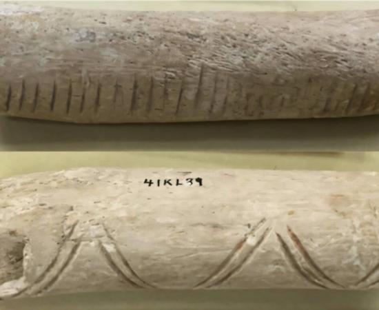 Left human humerus fashioned into a rasp. a) playing surface, b) geometric design