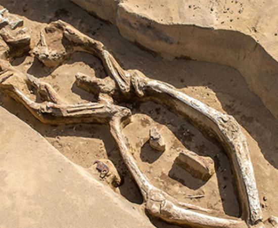 The skeleton was found in an unusual position in his grave in the Russian Far East.