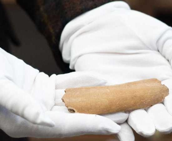 The fragment of a longer cow bone found by the Czech grad student, on which ancient runic letters were inscribed. 