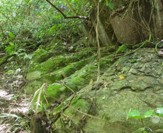 New Expedition Hints at a Lost City Near the Tayos Caves in Ecuador