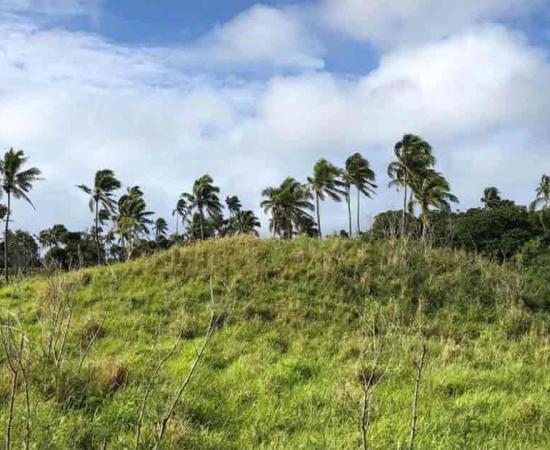 Earth structures were being constructed on Tongatapu around AD 300. Source: Phillip Parton/ANU