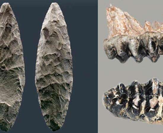 Tools of Pre-Clovis Inhabitants