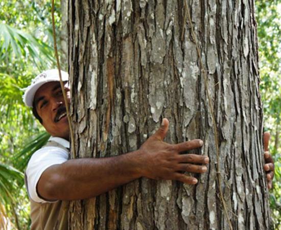 Tree huggers are both a current form of environmental activism and one that has been used effectively in the past in places like India.		Source: Carolina Hoyos Lievano / World Bank