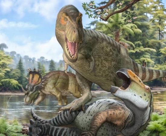 Image of Tyrannosaurus Rex on the prowl in ancient North America.