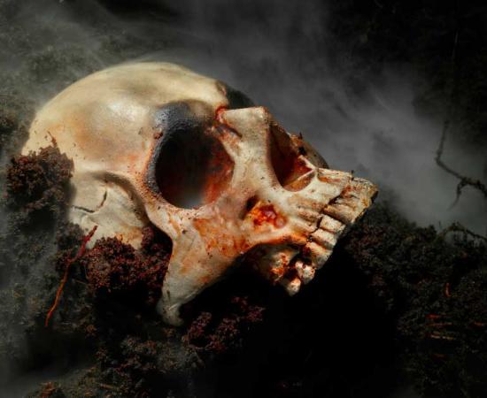 The history of true crime consumption can be traced all the way back to the early 1500s. Source:  Sved Oliver/ Adobe Stock