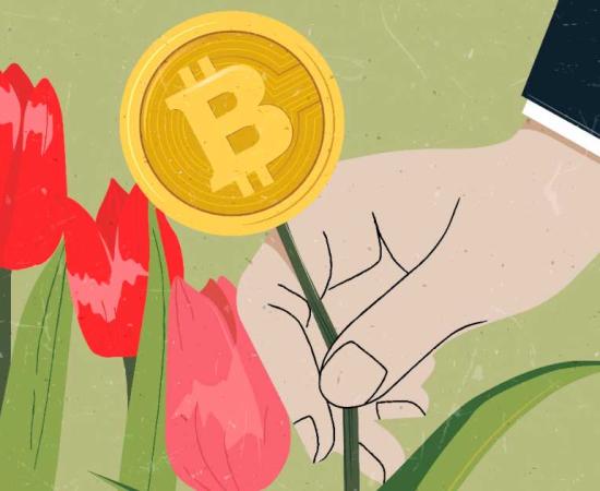 The 17th-century tulipmania madness was not unlike the history of Bitcoin so far because in both cases a speculative bubble was created. Without spilling the beans, tulipmania ended suddenly and badly and put a tarnish on the Dutch Golden Age! Source: momosama / Adobe Stock