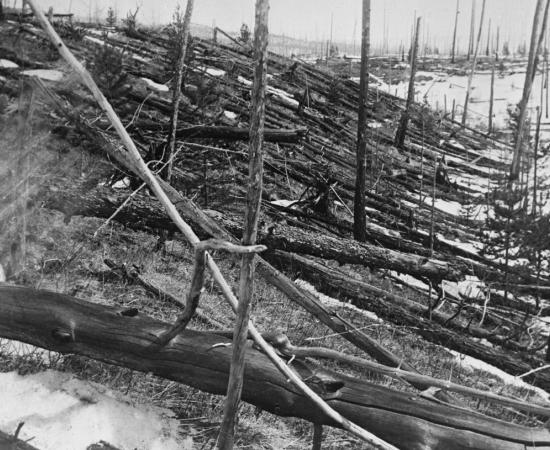 A black and white photograph of a Siberian forest with many tree trunks lying flat on the ground and a few bare, broken trunks still standing