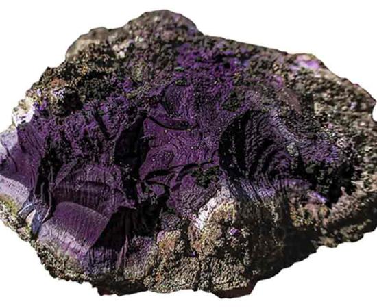 The Tyrian Purple pigment found at Carlisle Cricket Club	Source:  Wardell Armstrong