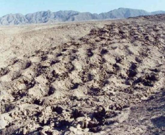 Miles-long band of mysterious and unexplained holes in Pisco Valley - Peru
