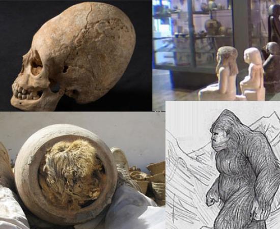 Unusual Discoveries 2013