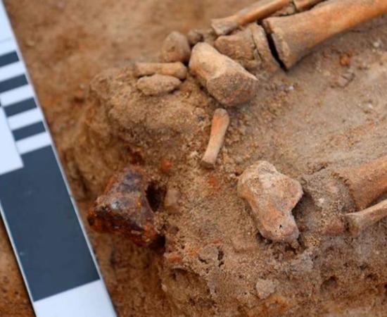 The vampire child burial included the horrific addition of a “anti-vampiric” padlock attached to the foot of the child, aged between five and seven years old. Source: Institute of Archaeology - Nicholaus Copernicus University, Torun