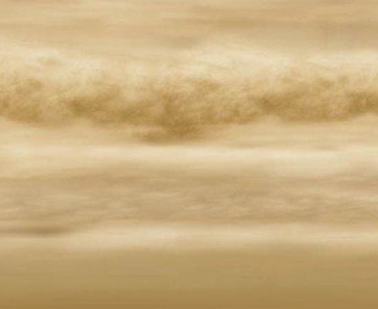 Life in Venus Clouds