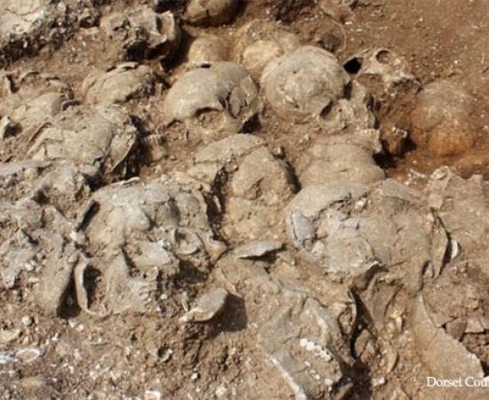 Top Ten grisly Discoveries in 2013