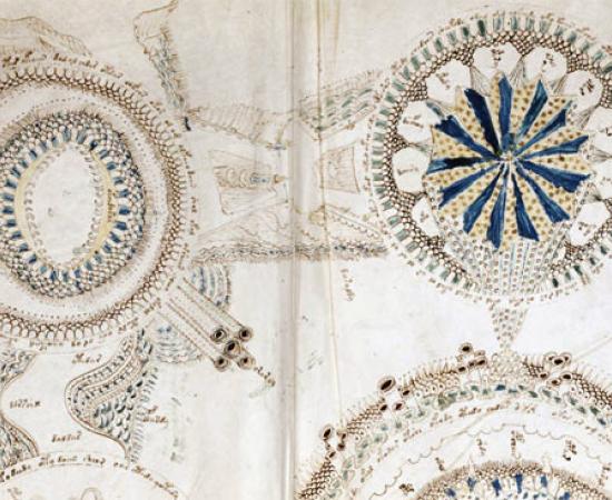 Voynich Manuscript Decoded