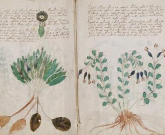 Voynich Manuscript