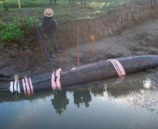 Screenshot of recently discovered traditional waka canoe. Source: Screenshot/1 News