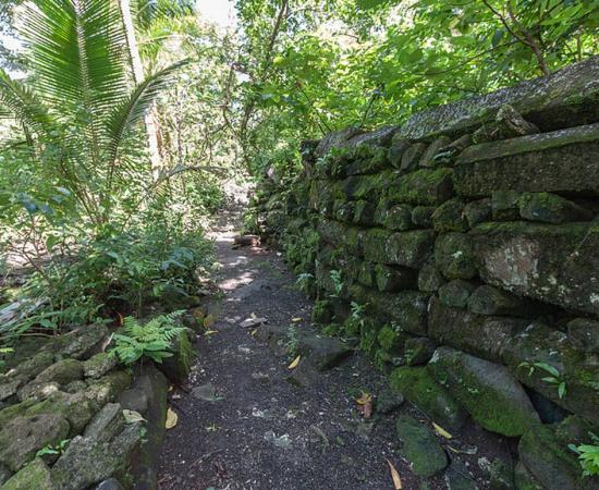 Typical fragment of a wall, Lelu Ruins, Kosrae