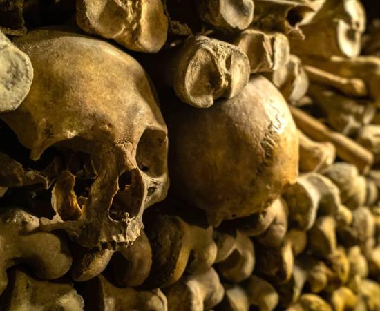 A bone wall was discovered at Saint Bavo’s Cathedral in Ghent, Belgium