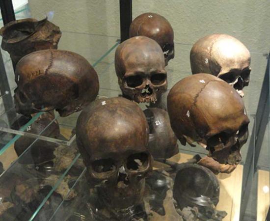 Remains from Levänluhta at the National Museum of Finland. Source: CC0