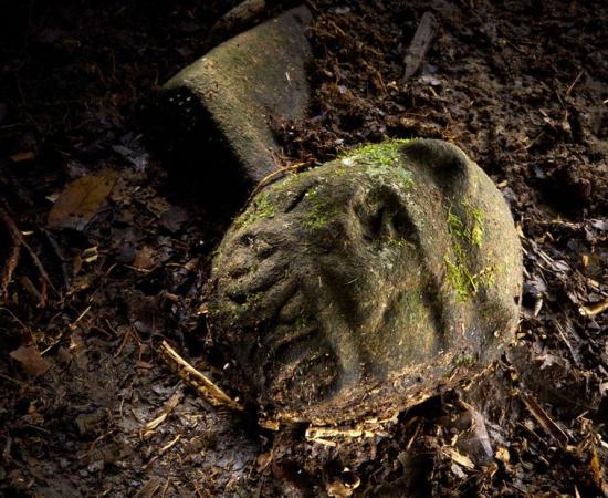A 'were-jaguar' effigy, likely representing a combination of a human and spirit animal, is part of a still-buried ceremonial seat, discovered in a cache in ruins deep in the Honduran jungle. 
