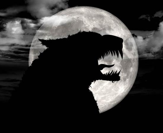 A 16th century German man named Peter Stumpp was allegedly a werewolf!