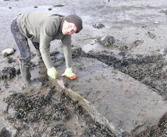 The last known witch grave in Scotland