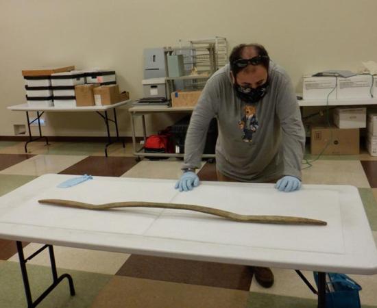 The distinctive double bend of what is being called a “perfect” wooden bow, made from spruce by a Native American tribe from southwestern Alaska, USA but found on Athabascan Dena’ina culture land. Source: National Park Service / J. Rogers
