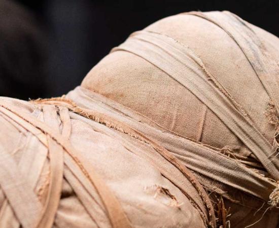 Ancient Egyptian mummy photographed at the archaeological museum of Florence. Source: Massimiliano / Adobe Stock