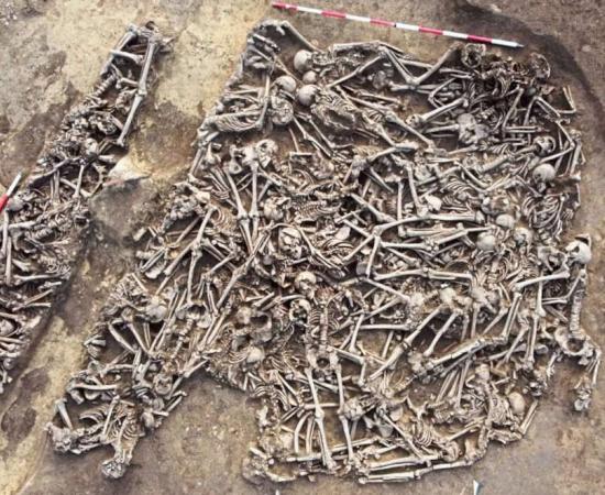 The gathered remains of the 150 young Roman men who died at the site of an ancient battle from the first century in Vienna.