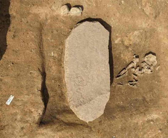 The 4,200-year-old grave with the large stone designed to stop the “zombie” within rising once again. Source: LDA Saxony-Anhalt, Anja Lochner-Rechta / Miami Herald.