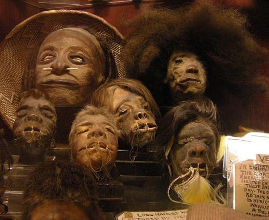 Shrunken heads in the permanent collection of "Ye Olde Curiosity Shop", Seattle, Washington state, U.S. 