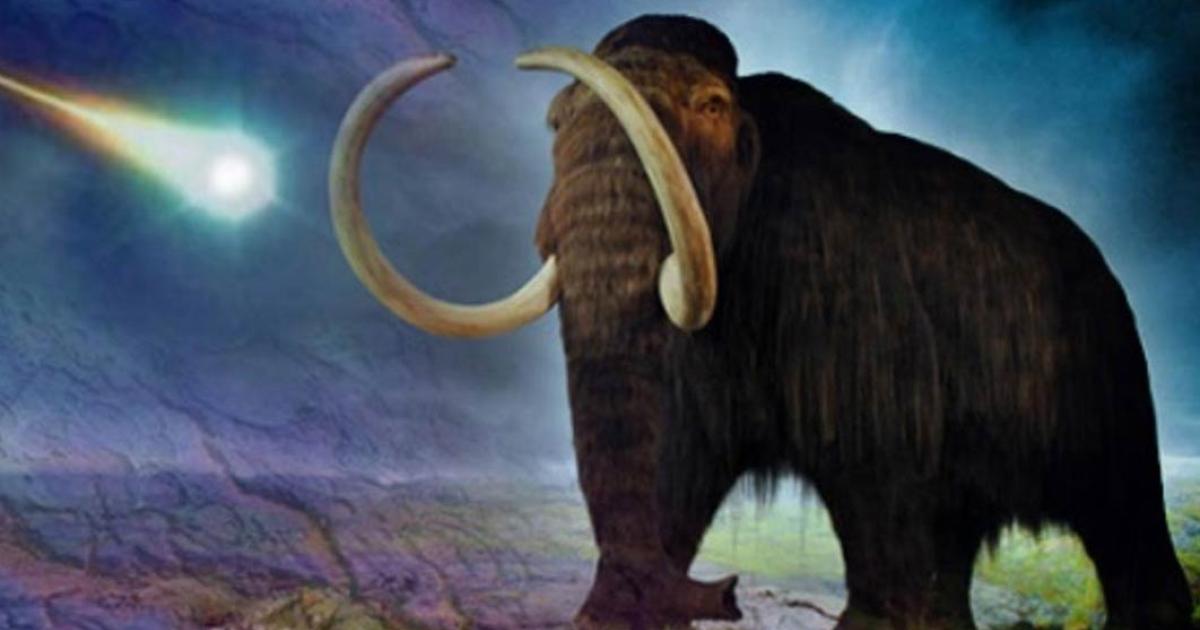 Deriv; A woolly mammoth ( CC BY-SA 2.0 ) meets a meteor strike ( Public Domain ). Carolina Bays ( Public Domain ).