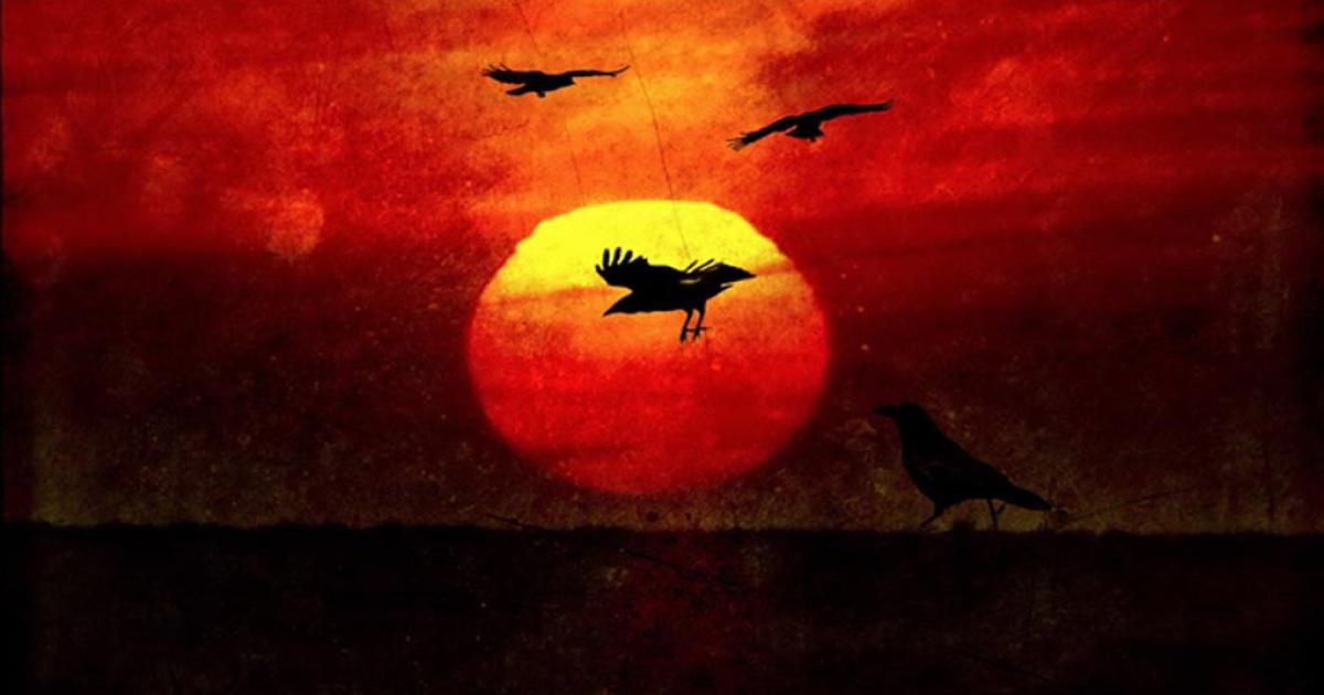 Native American Creation Stories: Creator Animals, Gods and Goddesses 