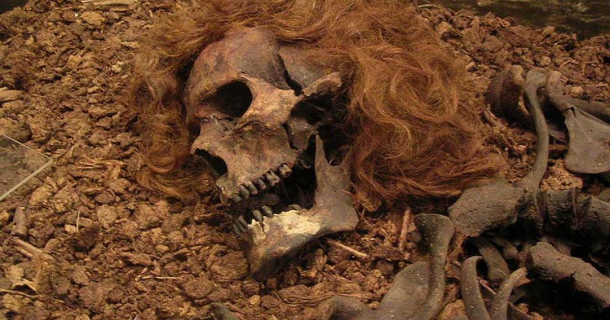 The Bocksten Man is the remains of a Medieval male body found in a bog in Varberg Municipality, Sweden (CC BY-SA 2.0)