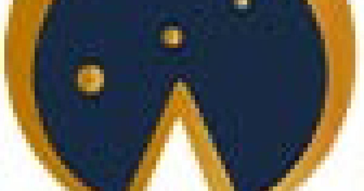 Harvesting açaí berry in the Amazon jungle. Source: Imago Photo / Adobe Stock.