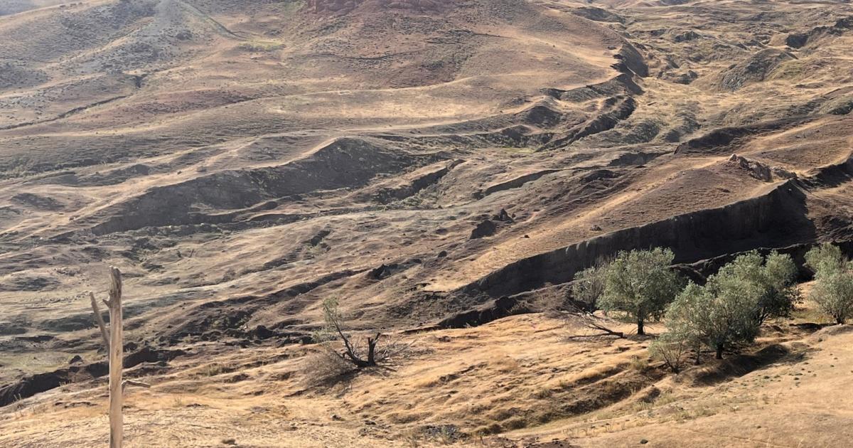 The boat-shaped Durupınar formation on a hillside in eastern Türkiye