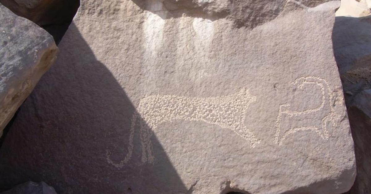 1000s of animal petroglyphs found in Egypt