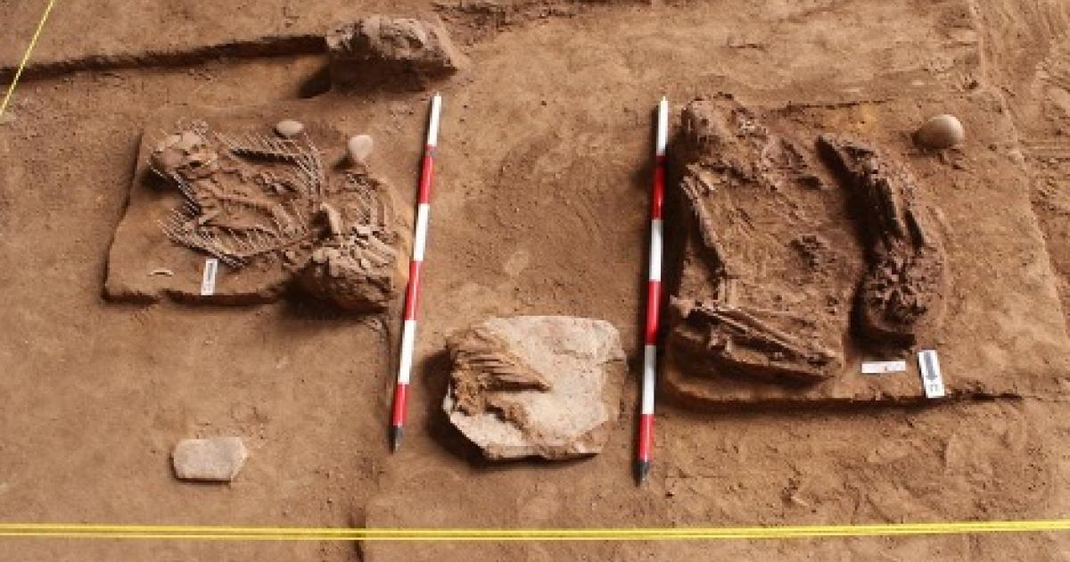 These two ancient skeletons buried at the Gua Chalan site were discovered before a hydroelectric lake flooded it.