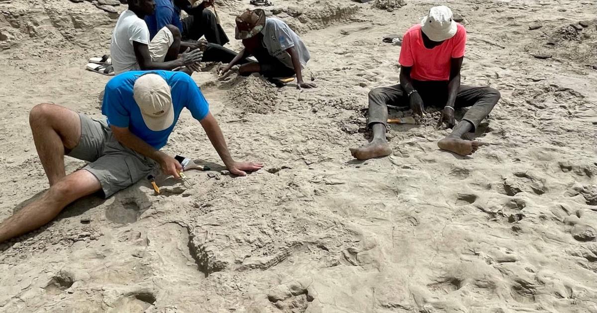 Excavating the new trackway site, with footprints from hominins, birds and other animals visible in foreground.