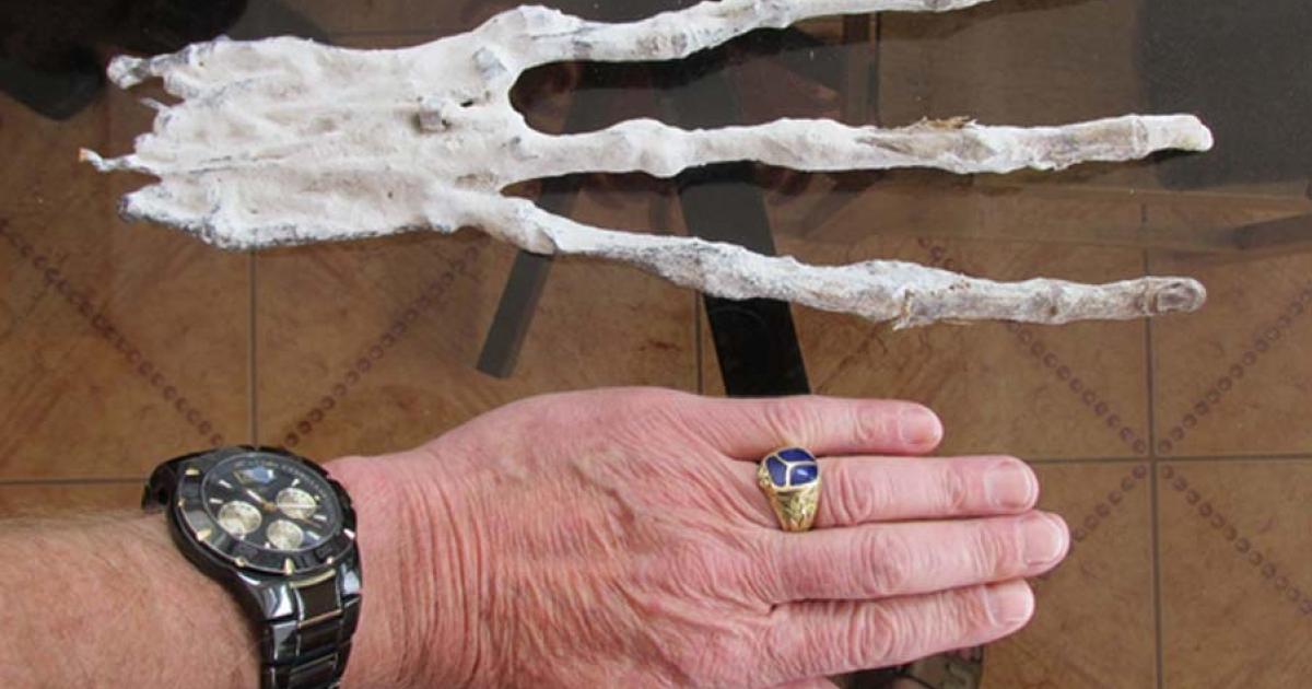 A mummified three-fingered hand with eight inch fingers has been found in a Peruvian tunnel in the desert. While first inspection may lead one to conclude that it is nothing more than an imaginative man-made creation, examination by a physician in Cusco, Peru, revealed that it is composed of skin and bone, with six bones in each finger. 