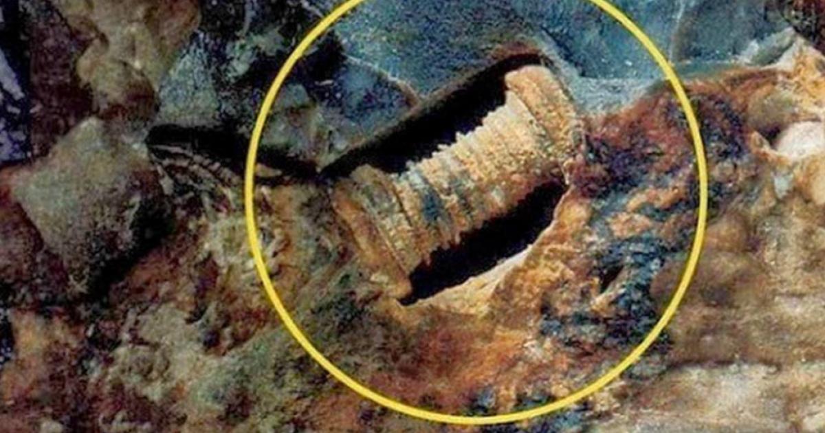300 million-year-old screw