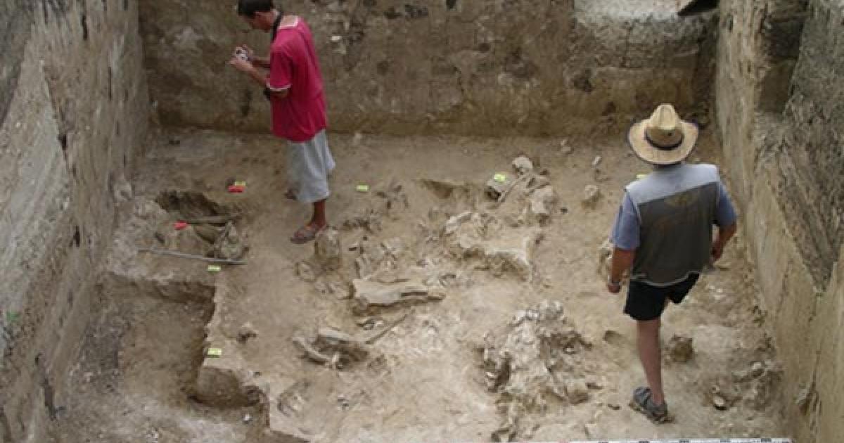 37,000-year-old bones