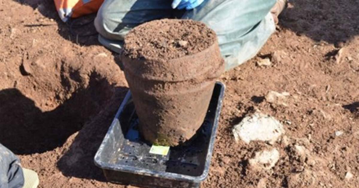 ANU Archaeologist Dr Catherine Frieman & co-director James Lewis with funerary pot in situ.