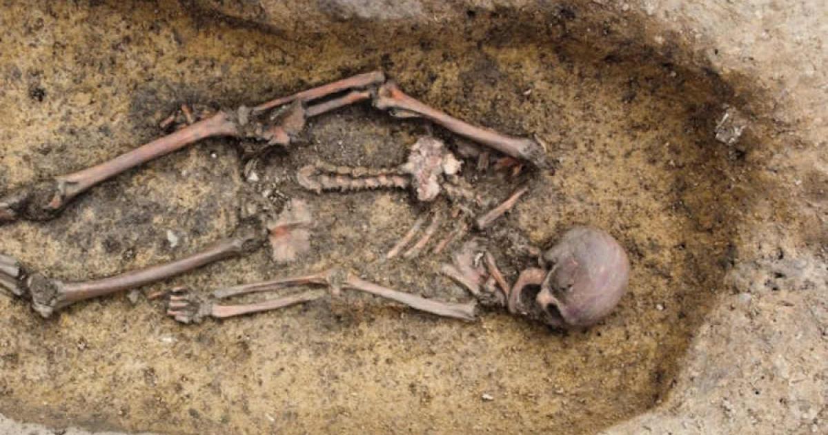 50 Danish Viking Skeletons Unearthed in a State of ‘Exceptional Preservation’