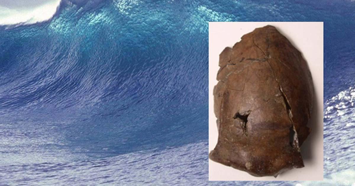 Main: A giant wave (public domain) Inset: This is the skull of a person who lived in what's now Papua New Guinea, 6,000 years ago. 