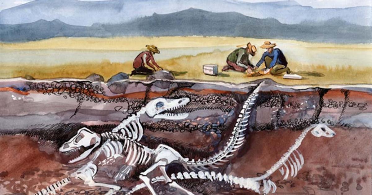 Fossil site preserves animals killed within minutes of 66-million-year-old meteor impact. 