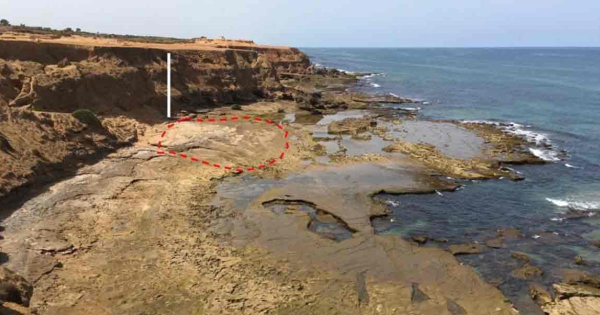 Panoramic photograph of the rocky shore platform on the Larache area coast of Morocco where the 90000-year-old footprints were found. The area delimited by the dotted red line corresponds to the footprint discovery zone. Source: M. Sedrati, et al/Nature